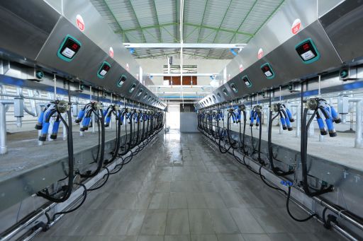 Balıkkılçığı Süt Sağım Sistemi