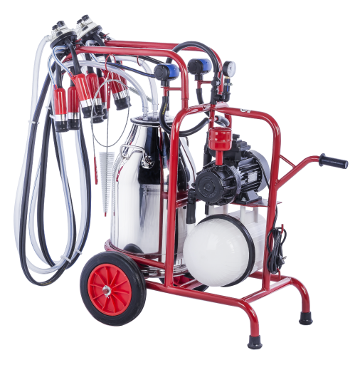 300 cc - İnek