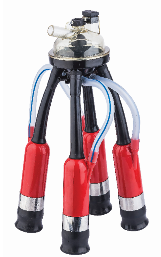300 cc