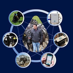 Sensehub Dairy Sürü Yönetim Sistemleri