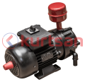 Vakum Pompası 2K (Kuru)-(185LT/DK-220V-0,55 KW)