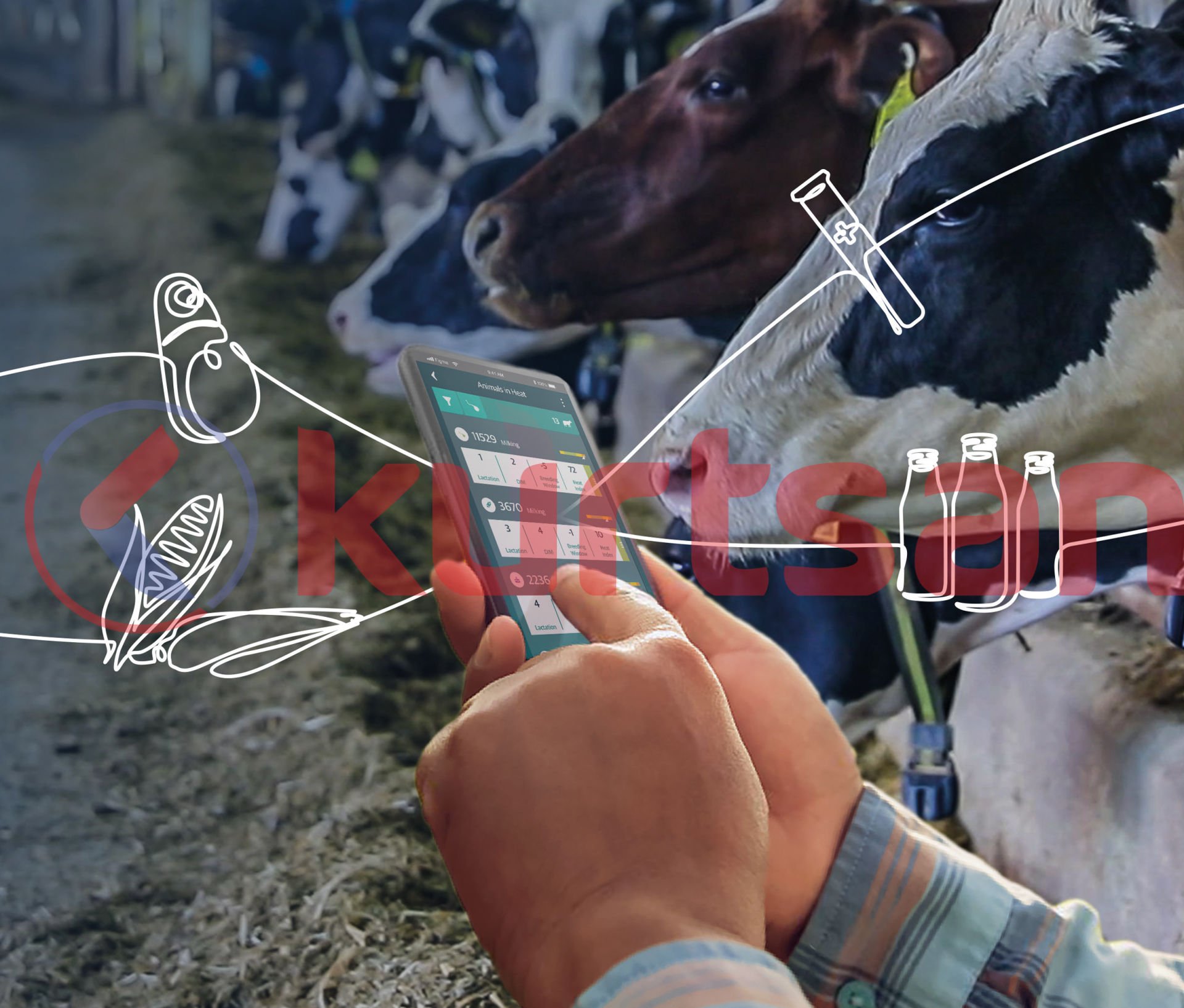 Sensehub Dairy Dataflow II+  Sürü Yönetim Sistemi