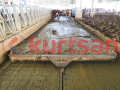 Çift Yollu Zincirli Otomatik Gübre Sıyırıcı