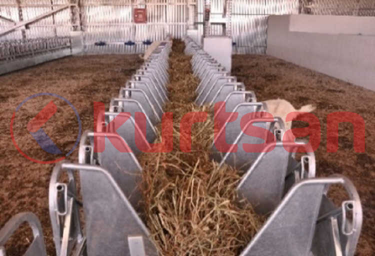 12'Li Boyun Kilidi (Yemlikli)